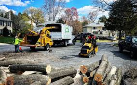 Best Tree and Shrub Care  in Congers, NY